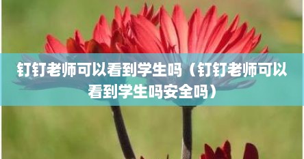 钉钉老师可以看到学生吗（钉钉老师可以看到学生吗安全吗）