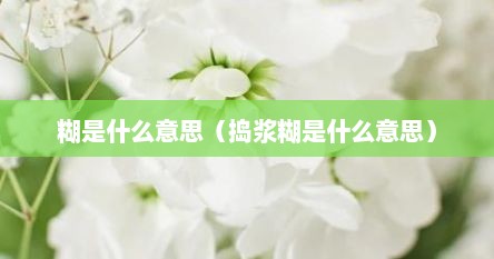 糊是什么意思（捣浆糊是什么意思）