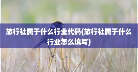 旅行社属于什么行业代码(旅行社属于什么行业怎么填写)