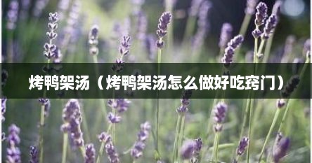 烤鸭架汤（烤鸭架汤怎么做好吃窍门）