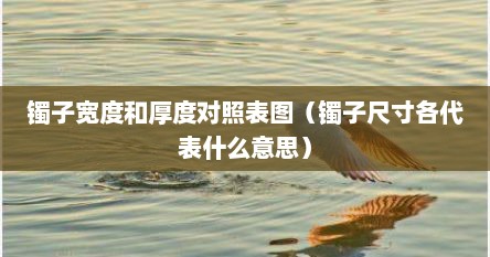 镯子宽度和厚度对照表图（镯子尺寸各代表什么意思）