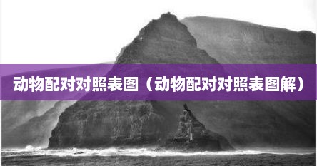 动物配对对照表图（动物配对对照表图解）