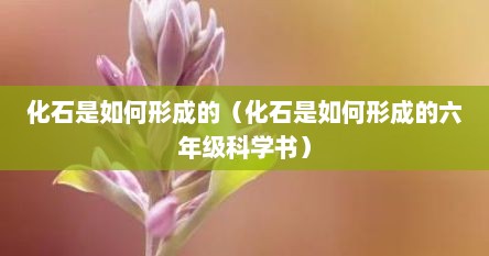 化石是如何形成的（化石是如何形成的六年级科学书）