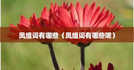 凤组词有哪些（凤组词有哪些呢）