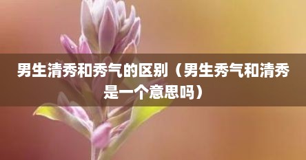 男生清秀和秀气的区别（男生秀气和清秀是一个意思吗）