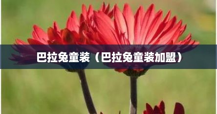 巴拉兔童装（巴拉兔童装加盟）