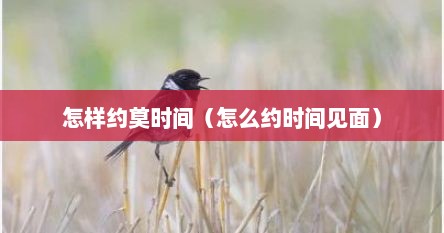 怎样约莫时间（怎么约时间见面）
