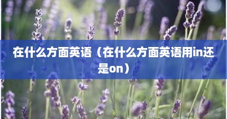 在什么方面英语（在什么方面英语用in还是on）