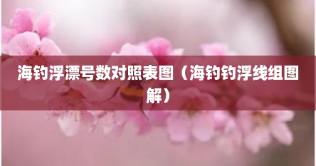 海钓浮漂号数对照表图（海钓钓浮线组图解）