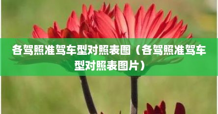 各驾照准驾车型对照表图（各驾照准驾车型对照表图片）