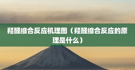 羟醛缩合反应机理图（羟醛缩合反应的原理是什么）