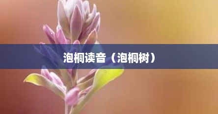 泡桐读音（泡桐树）