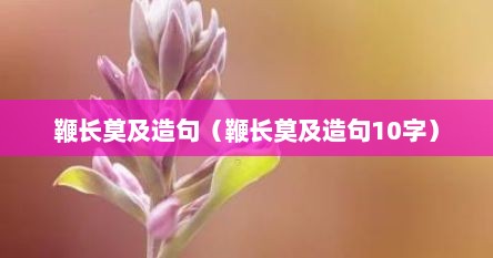 鞭长莫及造句（鞭长莫及造句10字）