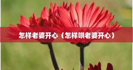 怎样老婆开心（怎样哄老婆开心）