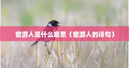 宦游人是什么意思（宦游人的诗句）