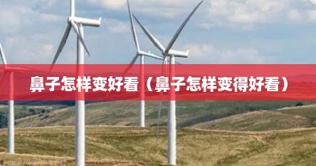鼻子怎样变好看（鼻子怎样变得好看）