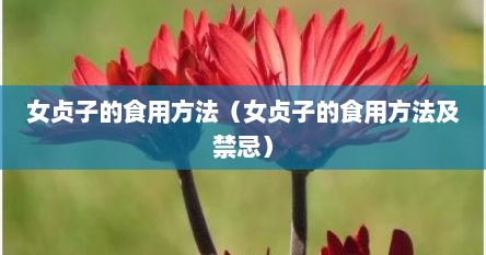 女贞子的食用方法（女贞子的食用方法及禁忌）