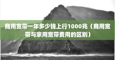 商用宽带一年多少钱上行1000兆（商用宽带与家用宽带费用的区别）