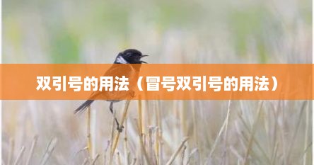 双引号的用法（冒号双引号的用法）