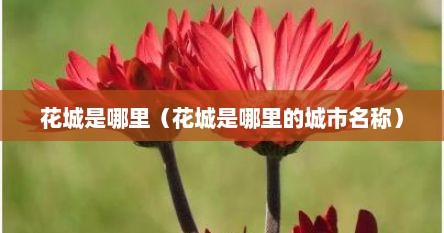 花城是哪里（花城是哪里的城市名称）