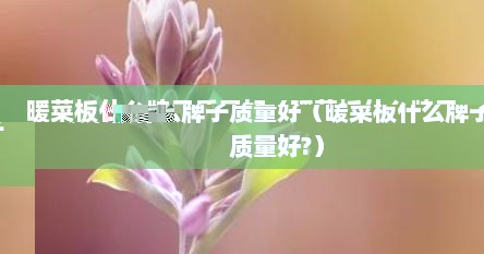 暖菜板什么牌子质量好（暖菜板什么牌子质量好?）