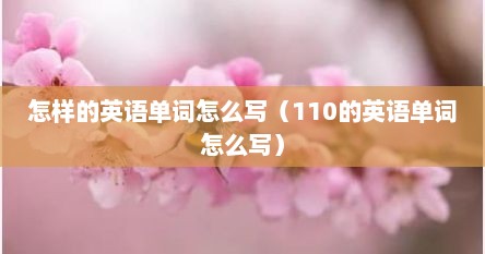 怎样的英语单词怎么写（110的英语单词怎么写）