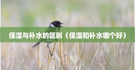 保湿与补水的区别（保湿和补水哪个好）