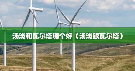 汤浅和瓦尔塔哪个好（汤浅跟瓦尔塔）