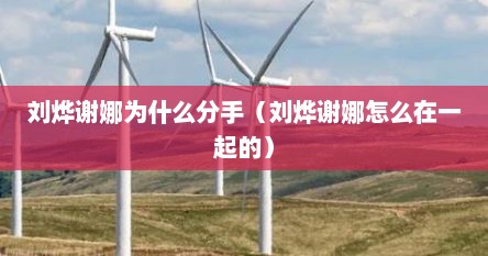 刘烨谢娜为什么分手（刘烨谢娜怎么在一起的）