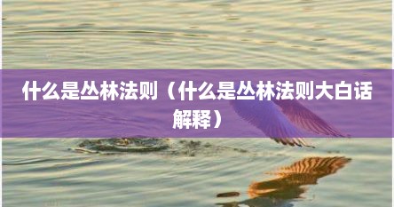 什么是丛林法则（什么是丛林法则大白话解释）