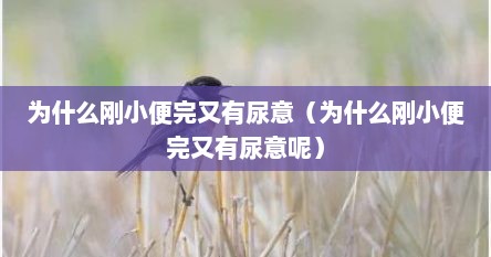 为什么刚小便完又有尿意（为什么刚小便完又有尿意呢）