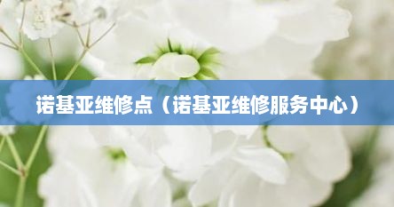 诺基亚维修点（诺基亚维修服务中心）