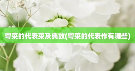 粤菜的代表菜及典故(粤菜的代表作有哪些)
