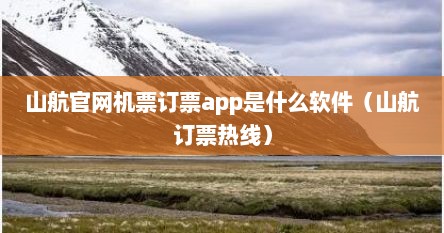 山航官网机票订票app是什么软件（山航订票热线）