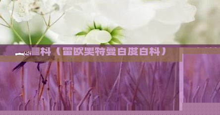 奥特曼百度百科（雷欧奥特曼百度百科）