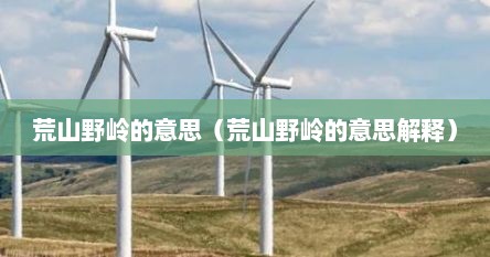 荒山野岭的意思（荒山野岭的意思解释）