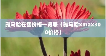 雅马哈在售价格一览表（雅马哈xmax300价格）