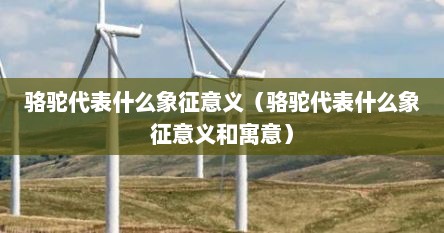骆驼代表什么象征意义（骆驼代表什么象征意义和寓意）