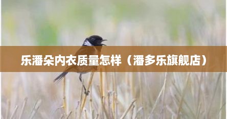 乐潘朵内衣质量怎样（潘多乐旗舰店）