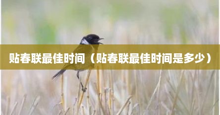 贴春联最佳时间（贴春联最佳时间是多少）
