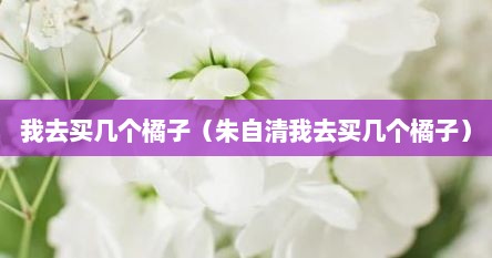 我去买几个橘子（朱自清我去买几个橘子）