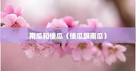 南瓜和倭瓜（倭瓜跟南瓜）