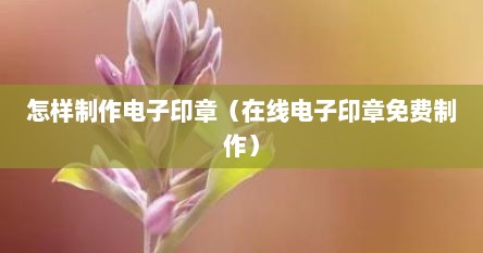 怎样制作电子印章（在线电子印章免费制作）