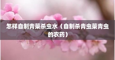 怎样自制青菜杀虫水（自制杀青虫菜青虫的农药）