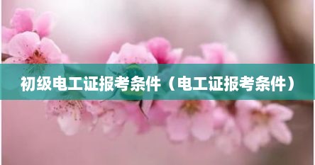 初级电工证报考条件（电工证报考条件）