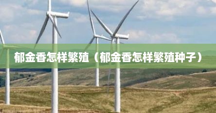 郁金香怎样繁殖（郁金香怎样繁殖种子）