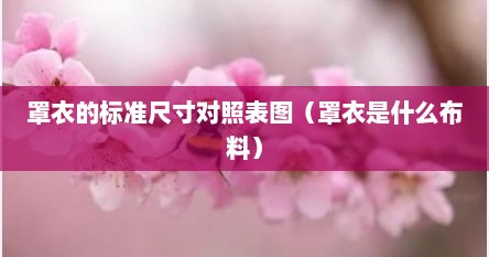 罩衣的标准尺寸对照表图（罩衣是什么布料）