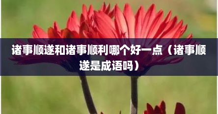 诸事顺遂和诸事顺利哪个好一点（诸事顺遂是成语吗）