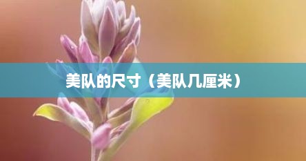 美队的尺寸（美队几厘米）