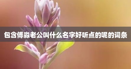 包含傅淼老公叫什么名字好听点的呢的词条